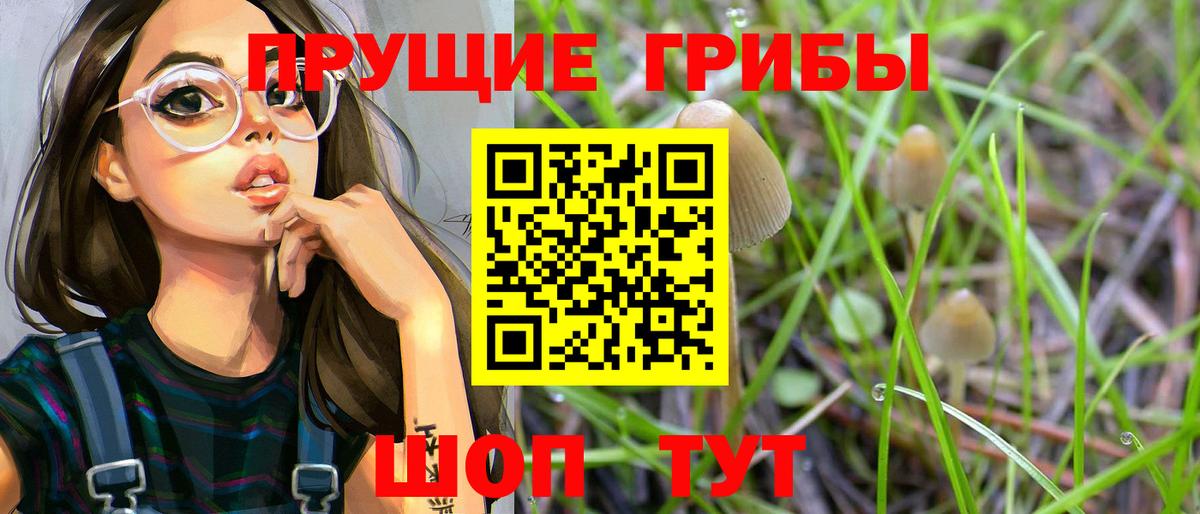 Киров  дарнет шоп  Галлюциногенные грибы Cubensis  Вход с VPN  Псилоцибиновые грибы мухоморы 