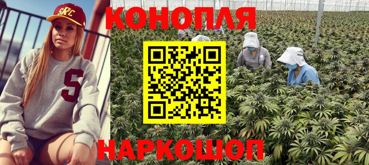 Каннабис White Widow  Канабис индика  Марихуана планчик  Марихуана тримм  Киров  Вход с VPN 
